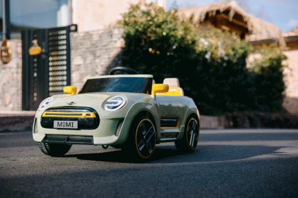 The Birthday TOUR 2017“NOMAD”  Mini  Mat The Birthday TOUR 2017“NOMAD” Mini Mat Nomad Mini Dive