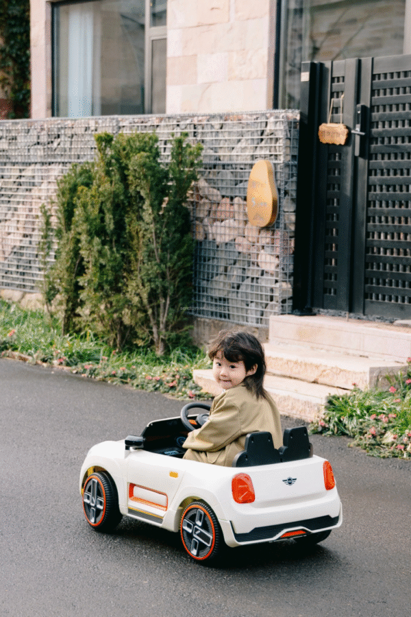 The Birthday TOUR 2017“NOMAD”  Mini  Mat The Birthday TOUR 2017“NOMAD” Mini Mat Nomad Mini Dive